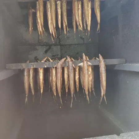 Kwietny Raj فيلة