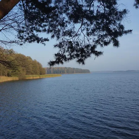 فيلة Kwietny Raj