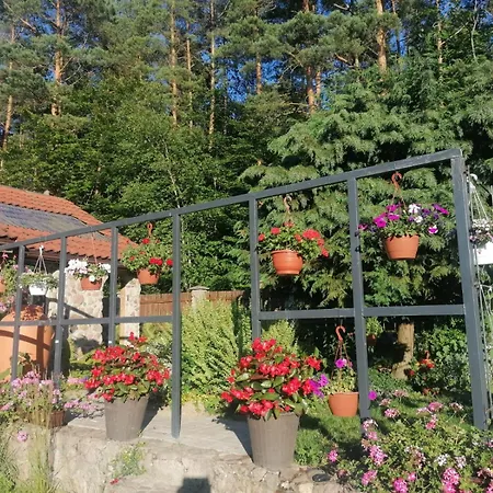 Kwietny Raj Silnowo