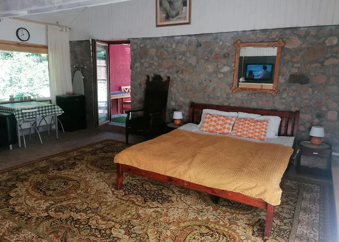 Willa Kwietny Raj Silnowo